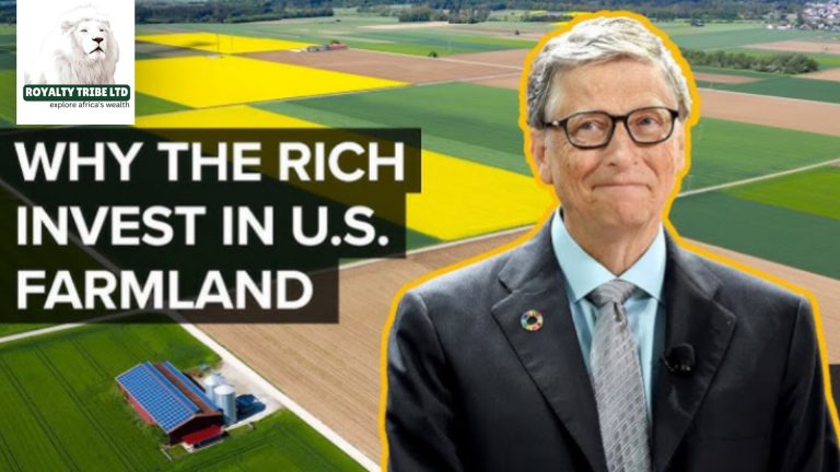 InShot_20250317_165137600