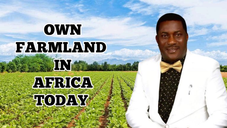 InShot_20250317_174241025 (2)