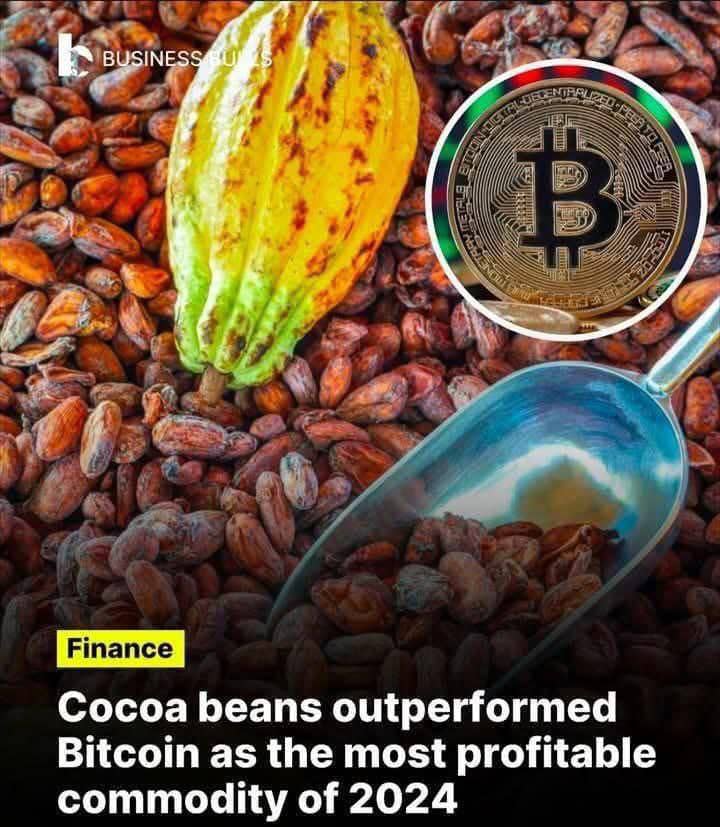 WhatsApp Image 2025-03-25 at 2.33.35 AM